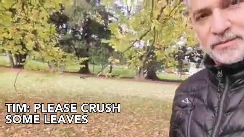 Tim: Please crush some leaves